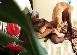 裸露的阴部被取悦