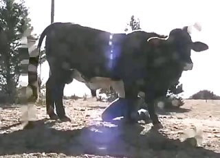 The filthiest bestiality sex you can find