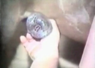 Farm dame and dirty animal of her dad