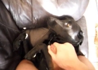 This black hound gets jizz on its fur in this hot video