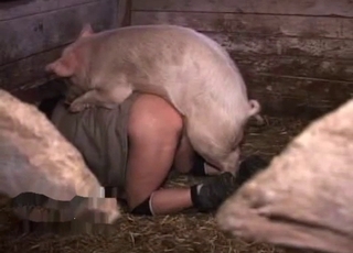 Sexy pig got nicely fucked by a freaking violator