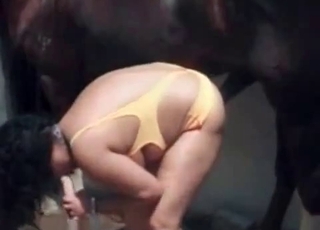 Total slut wants to have all sorts of fun with a hung horse