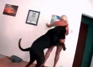 Intense hound is having sexual fun with a lovely blonde