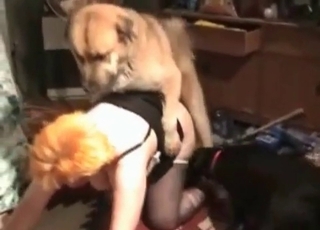 Doggy style fucking with hounds in this great video