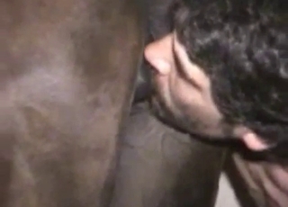 Anal fucking enjoyment for a really hot stallion