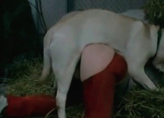 This whore wears red pants and gets banged in doggy style