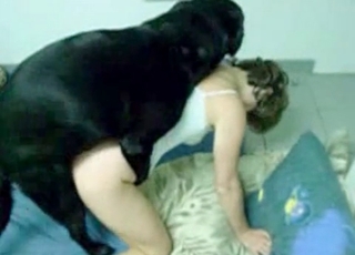 Oral bestiality session with a hot doll