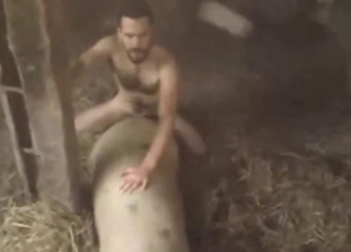 Naked dude barn-fucking farm beast, 100% raw