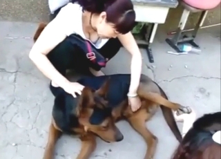 Bestiality sex from China: nice dog jerked off