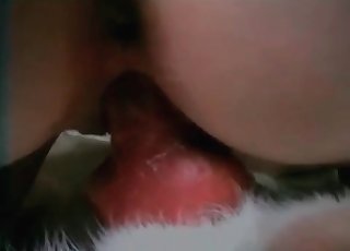 Bestiality action for a really naughty woman
