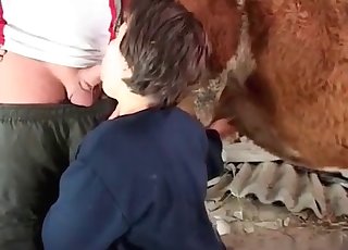 Woman with dark hair is giving a BJ to a farm animal