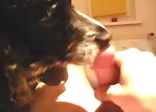 Oral sex for a zoophile by a really cute doggo