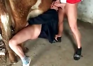 Farm action for a zoophile and an intense animal