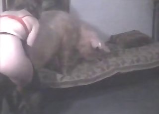 This woman wears stockings and wants to fuck a dog