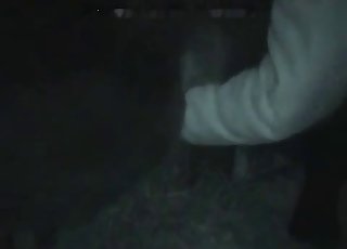 Beautiful zoophile is trying intensive bestial sex