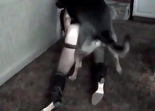 Sexy as hell bestiality with my lovely animals