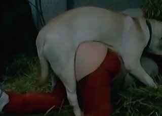 This whore wears red pants and gets banged in doggy style