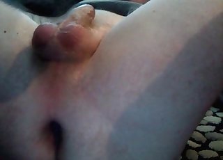 Amazing HQ video of an incredible bestiality