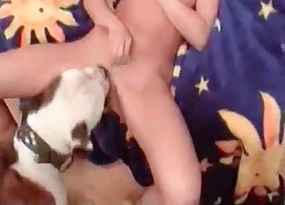 Athletic slut is orally pleased by a horny little doggo