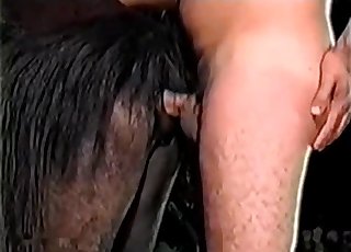 Stunning Latino dude banging a brown animal hard