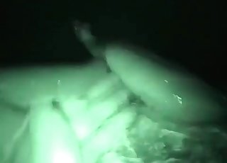 Sự kinh hoàng của loài thú trong nơi tối tăm