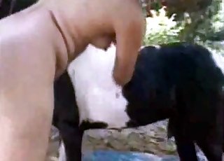 Tiny pony having a rough fuck during animal sex session