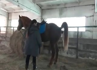 Porno žena i konj