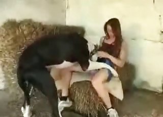Large canine is having sex with a hot slim zoophile