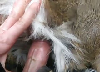 Great-looking animal porn with my hot sibling