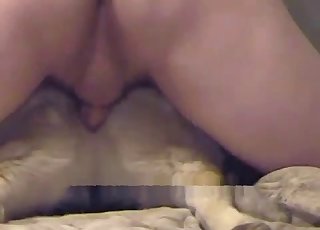 A man is screwing his dog from behind in doggy style