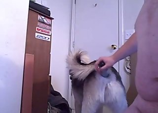 Small young dog hard fucked in my lovely poses