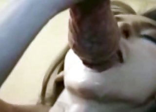 Crazy girl received a good doggy cumshot