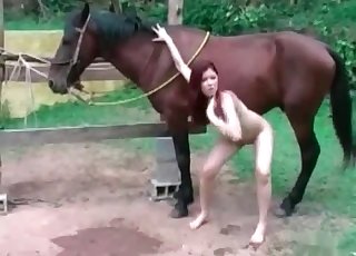 Zoophile receives the large cock of a horny brown stallion