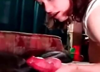 Amazing owners really like their horny doggos