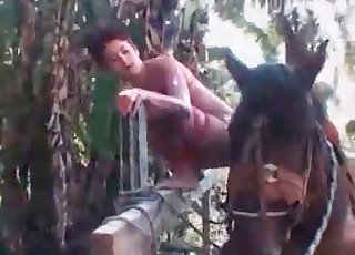 Horny woman jockey is using her stallion for all sorts of fun