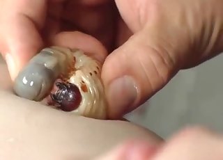 Japanese girls and their lovely exotic animals