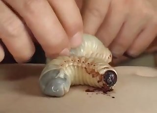 Japanese girls and their lovely exotic animals