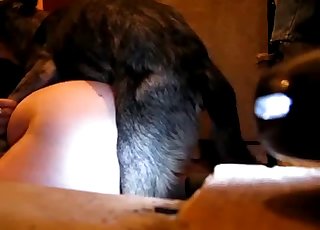 Chồng và chú chó của chúng tôi có một cuộc giao cấu thú tính tuyệt vời XXX