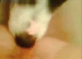 Zoophile receives a rimjob from a really horny doggo