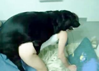 Oral bestiality session with a hot doll