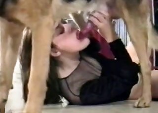 Pervert brunette wants to suck a dog cock like a slut