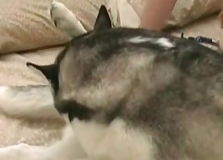 Amazing and intense passionate banging entertainment