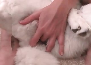 Handsome husky wants to totally stuff this tight pussy