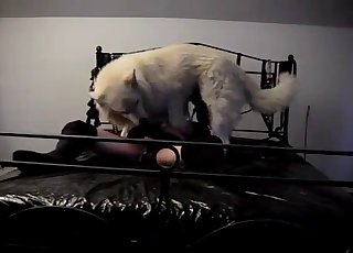 Beautiful slender hooker fucked by a big white hunter