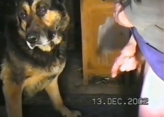 Cute pet nicely sucks a good dick in POV