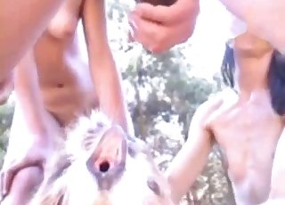 صديق شهواني وفتاة مثيرة يستمتعان بالحيوانات