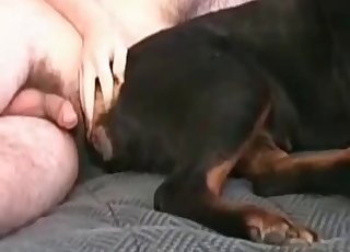 Doggy licks and sucks a real zoophile's dick