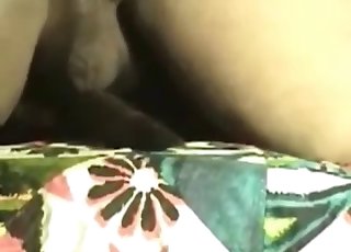 Thick dude is having sexual entertainment with a brown puppy