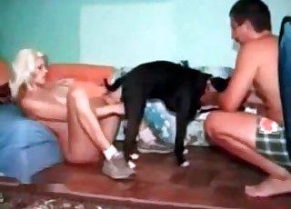 Καυτή ξανθιά καταστρέφεται από ένα ακόρεστο σκυλάκι