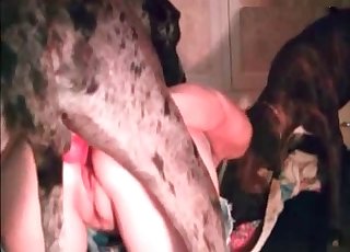 Bu harika XXX videoda canlı olarak vahşi seks sahneleri yakalanıyor